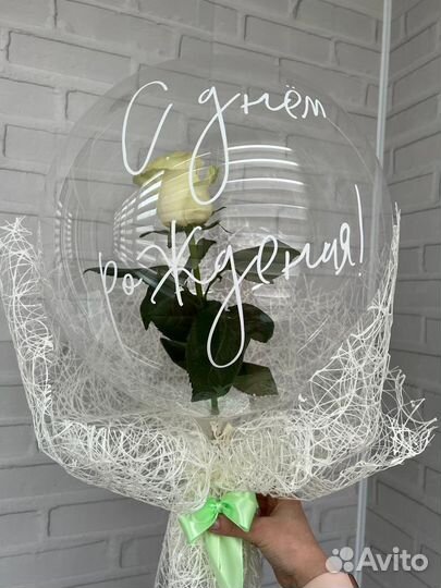 Живая роза в воздушном шаре, Домодедово/Москва