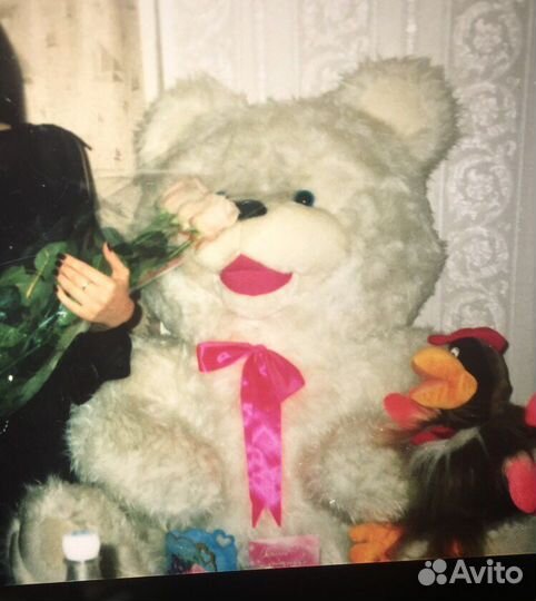 Белый медведь