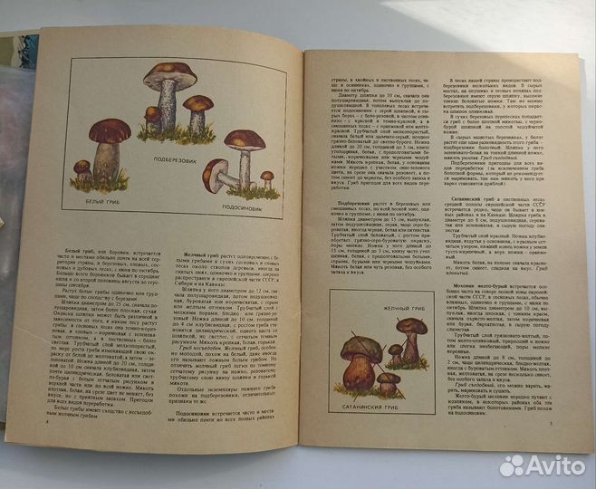 Книга и атлас 