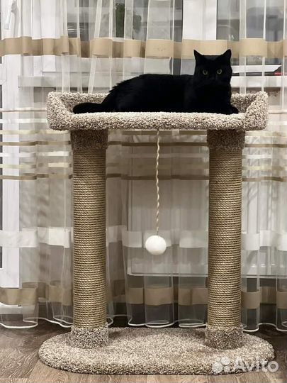 Когтеточка 