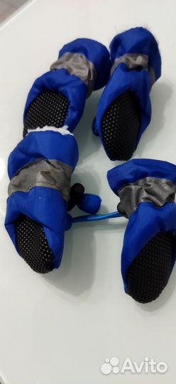 Обувь для собак зима