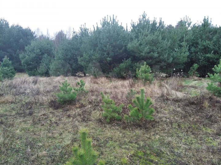 Участок 11 сот. (ИЖС)