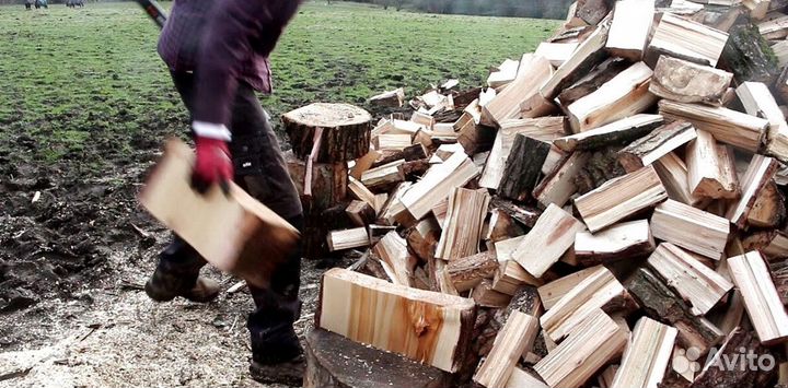 Дрова самовывоз