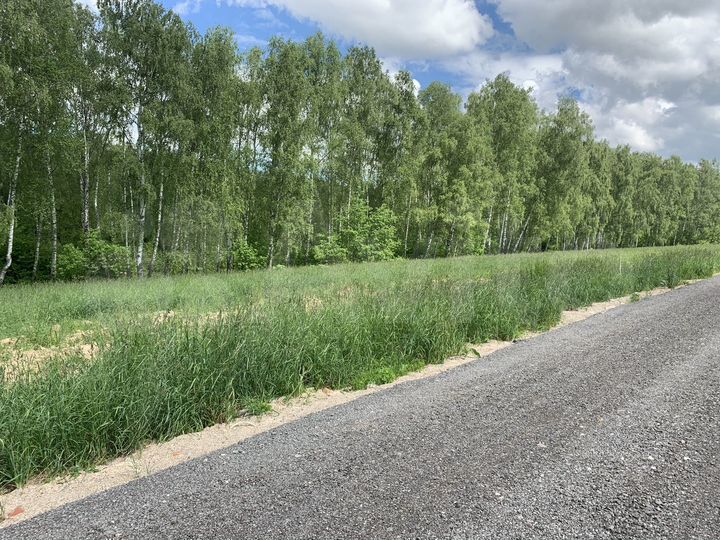 Участок 6 сот. (ИЖС)