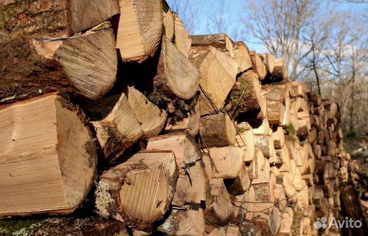Дрова в город