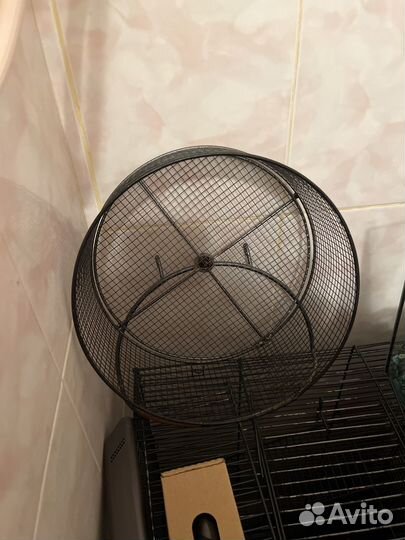 Колесо для грызунов 25 см