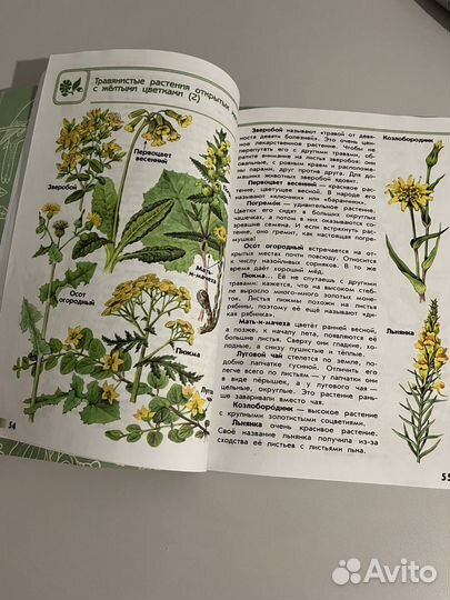 Атлас-определитель 