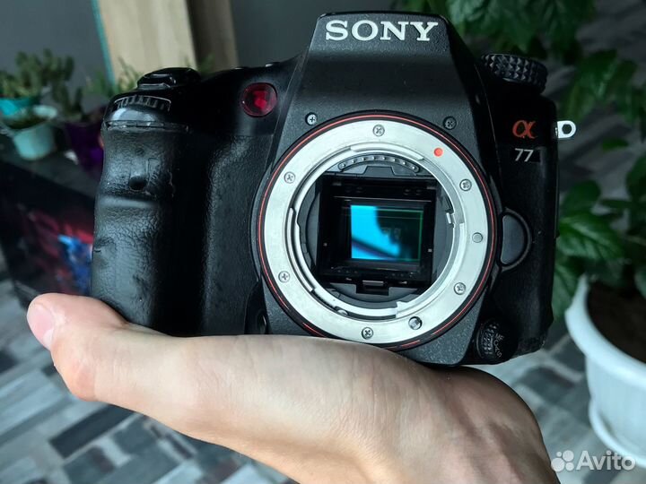 Sony A77