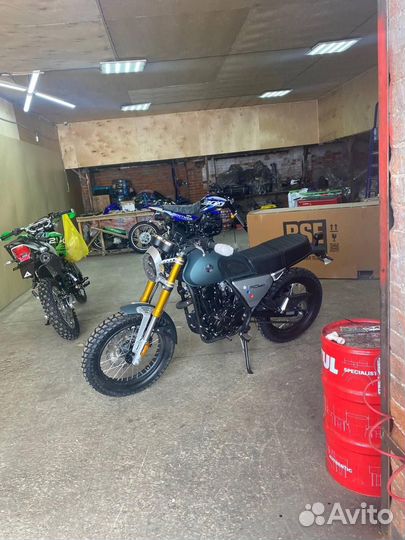 Рейсер триумф 250