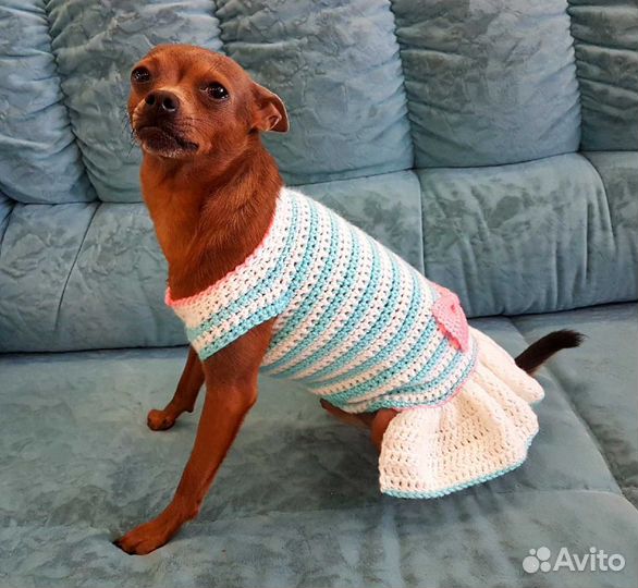 Свитер-платье для маленьких собачек