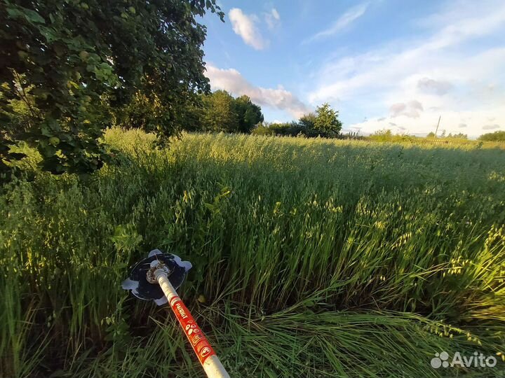 Покос травы триммером