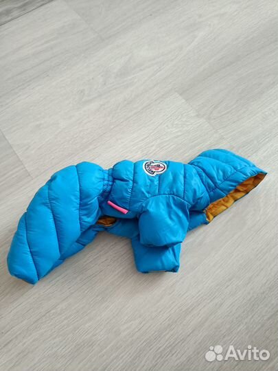 Куртка для мелких пород собак