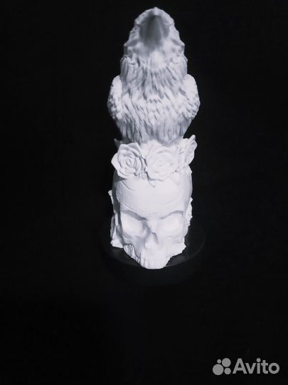 Ворон проводник, гипс