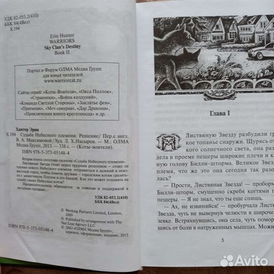 Книга Эрин Хантер. Коты-воители. Решение