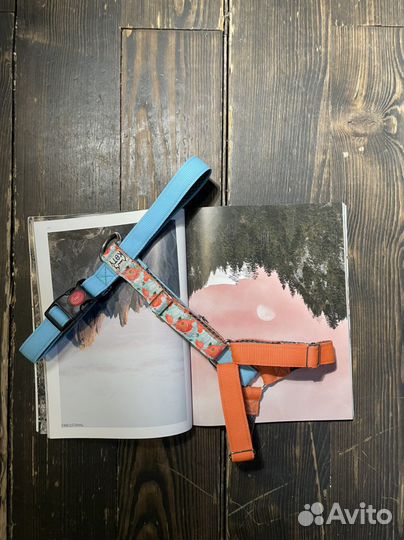 Шлейка для собаки