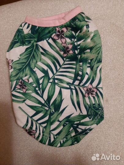 Одежда для маленьких собак -шпиц,бу