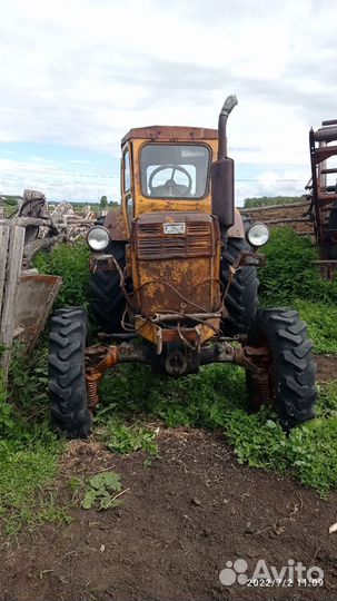 Трактор ЛТЗ Т-40, 2024