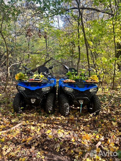 Катание на квадроциклах воронеж