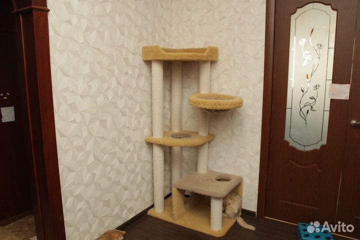 Когтеточка домик для кошки