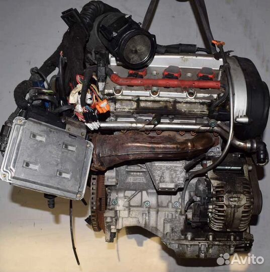 Двигатель ASN Audi A6 3.0л (BBJ)