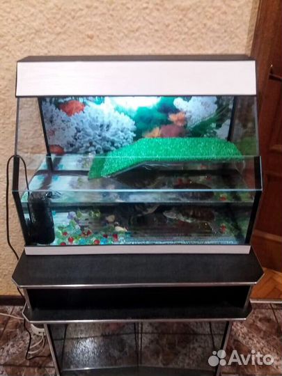 Террариум 70л открытый. Для красноухой. Новый