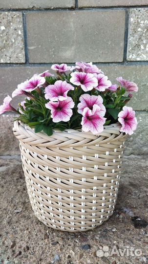 Кашпо для цветов