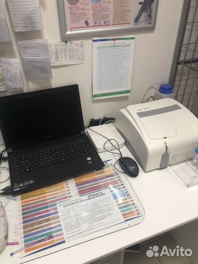 Стерилизация собак и кошек на дому