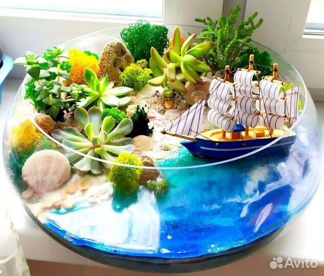 Флорариум суккуленты