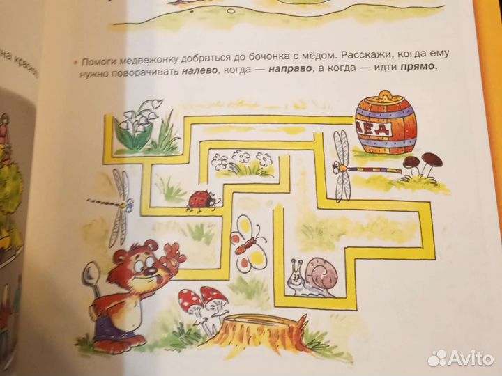 Курс занятий 5-6 лет
