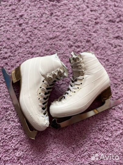 Коньки risport excellence 230