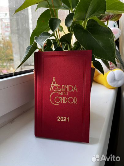 Блокнот на португальском языке