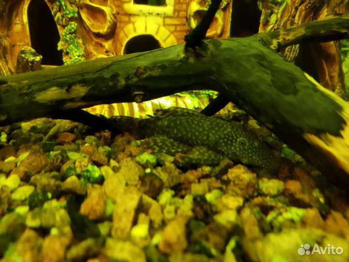 Декорация Замок