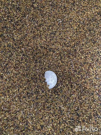 Люцерна семена