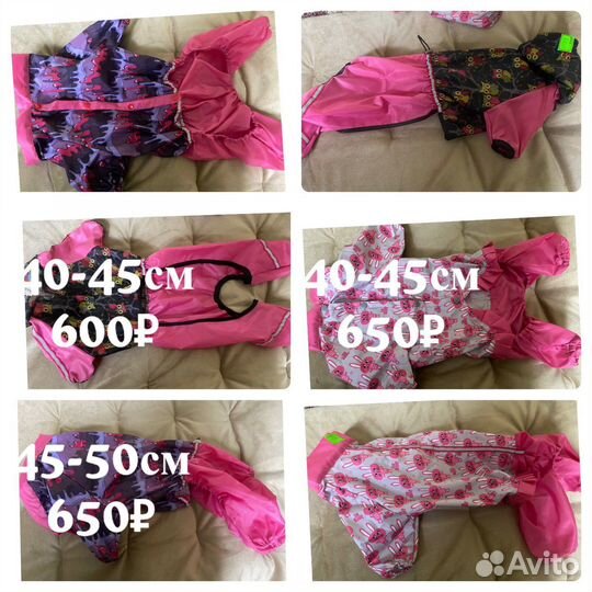 Одежда для собак