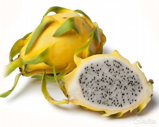 Семена Питахайя Драконий Фрукт Сердце Дракона