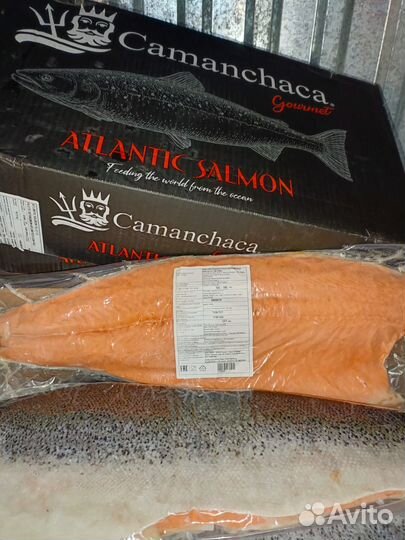 Филе семги вакуум Чили 2024