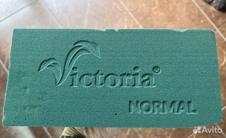 Флористический оазис