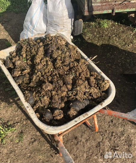 Чернозём навоз в мешках