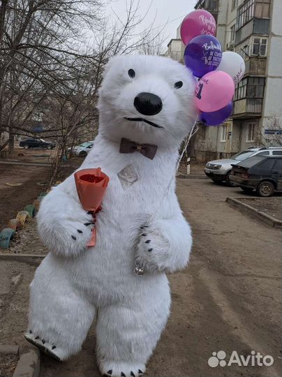 Белый мишка Снежок поздравление