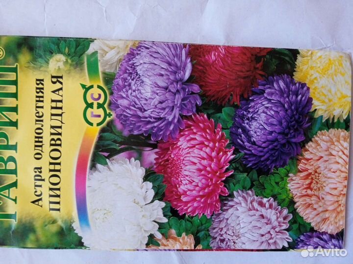 Рассада цветов