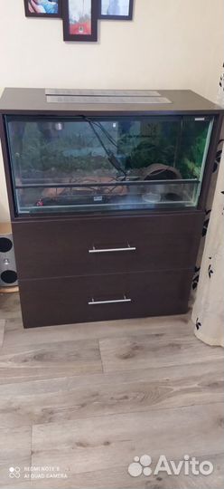 Террариум с комодом
