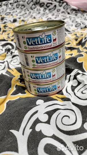 Корм для кошек гастро