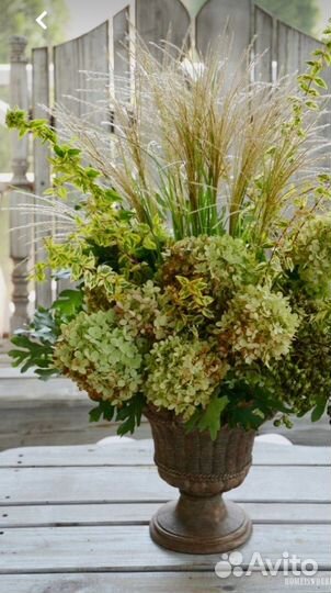 Гортензия сухоцветы букет