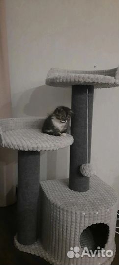 Домик для кошки с когтеточкой