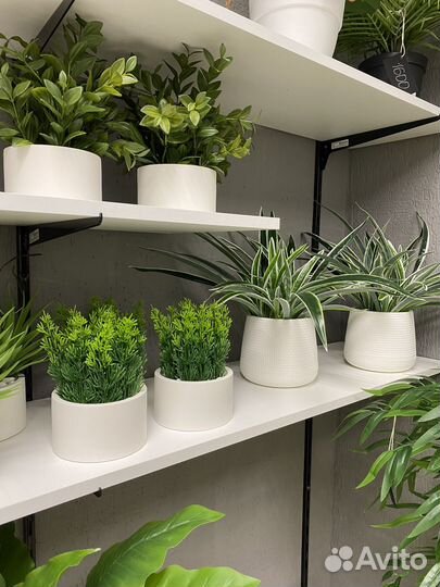 Искусственные растения, искусственная зелень