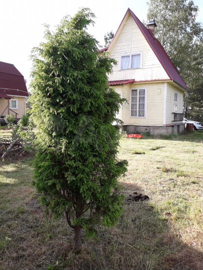 Дача 70 м² на участке 6 сот.