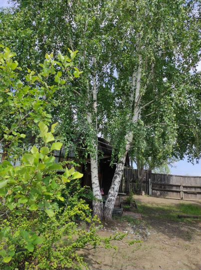 Дача 20 м² на участке 16 сот.