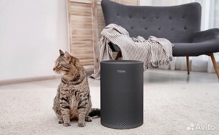 Очиститель-обеззараживатель воздуха Tion IQ 100
