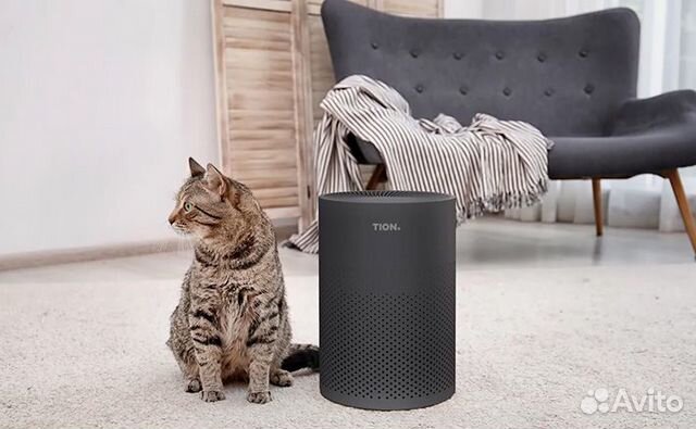 Очиститель-обеззараживатель воздуха Tion IQ 100