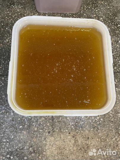 Майский мёд свежий только опт